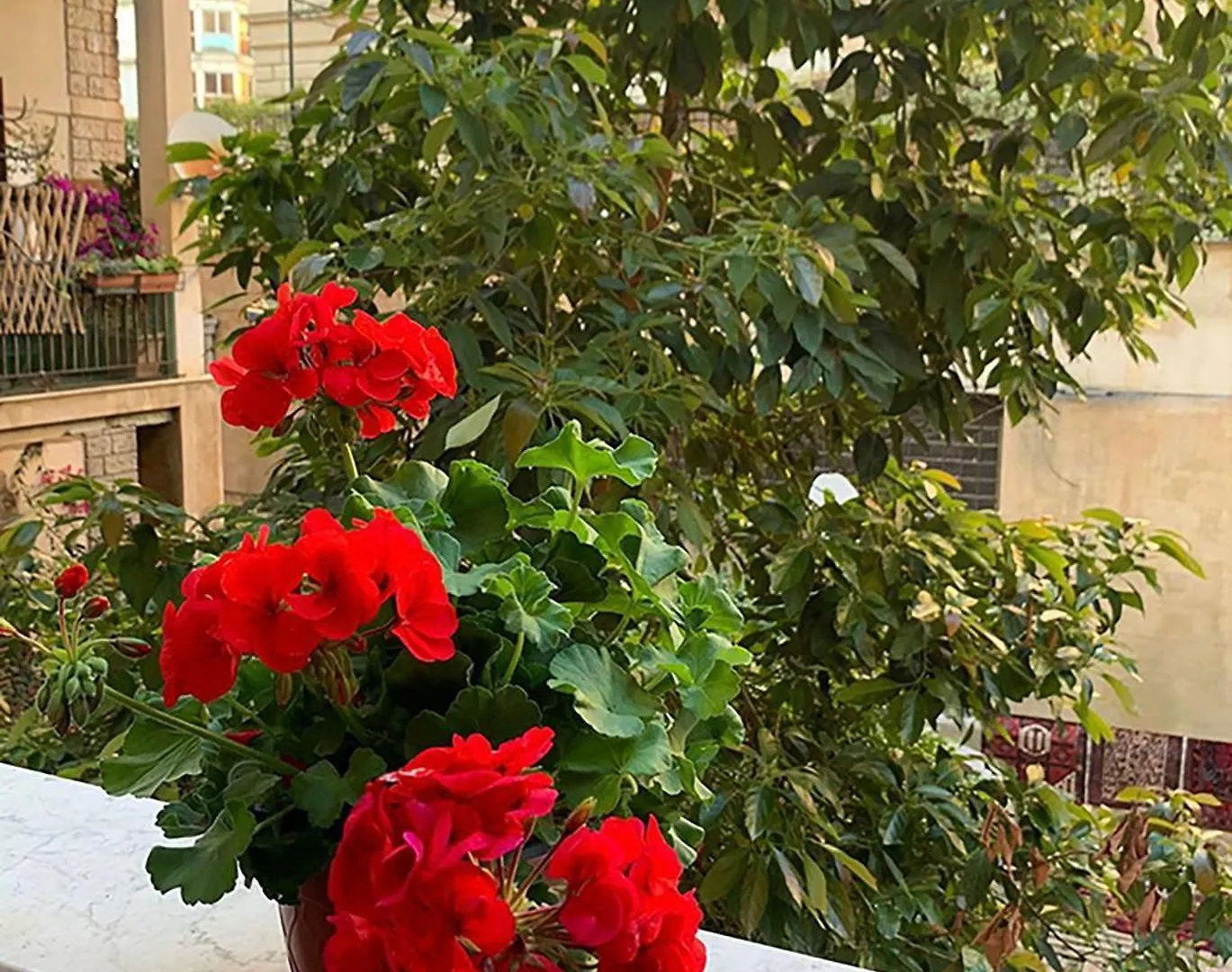 Ermosa Suite Palermo Guest house